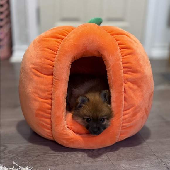 SOLD - Picture 1 of 2